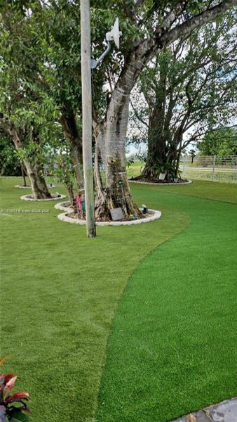 Natural landscape and outdoor views near  in Homestead (Image 44).