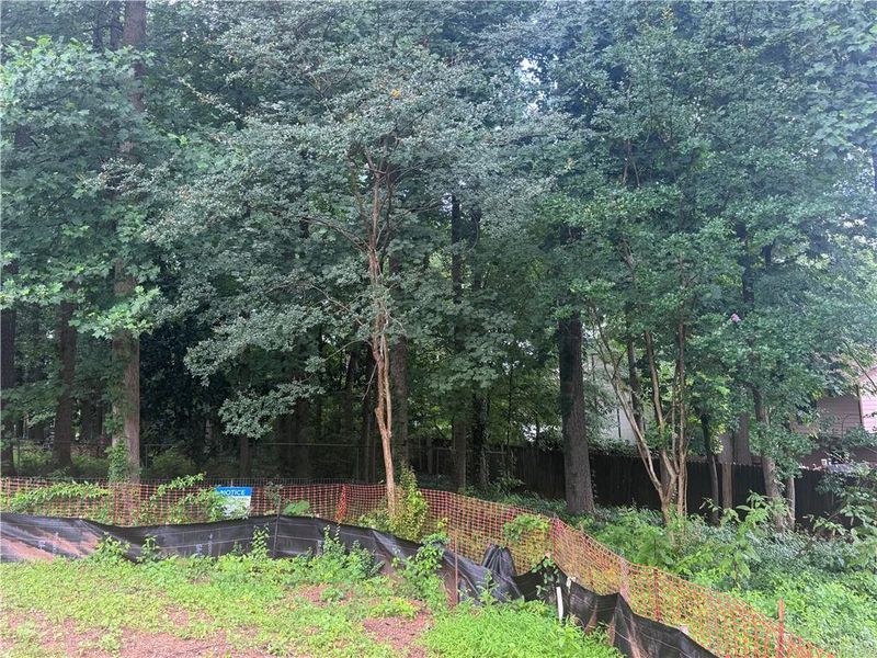 Natural landscape and outdoor views near  in Alpharetta (Image 91).