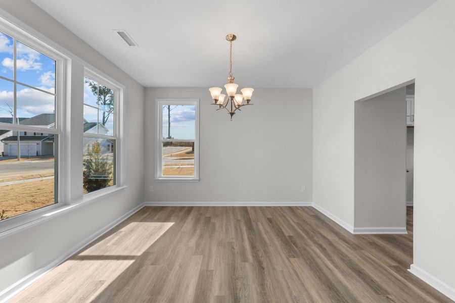 Spacious, unfurnished interior of a new home in Neill's Pointe, Angier (Image 26).