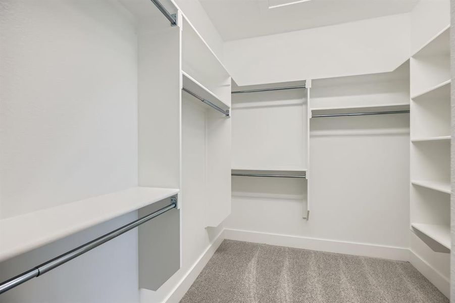 Walk in closet featuring carpet flooring Walk in closet featuring carpet flooring