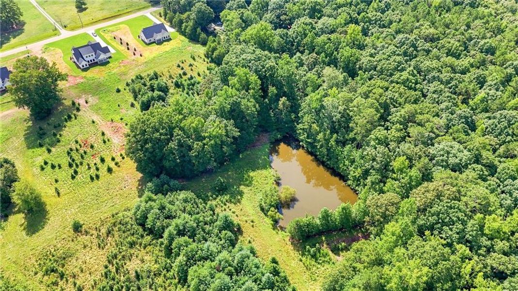 Natural landscape and outdoor views near  in Hampton (Image 44).