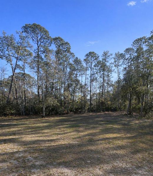 Natural landscape and outdoor views near  in New Smyrna Beach (Image 5).