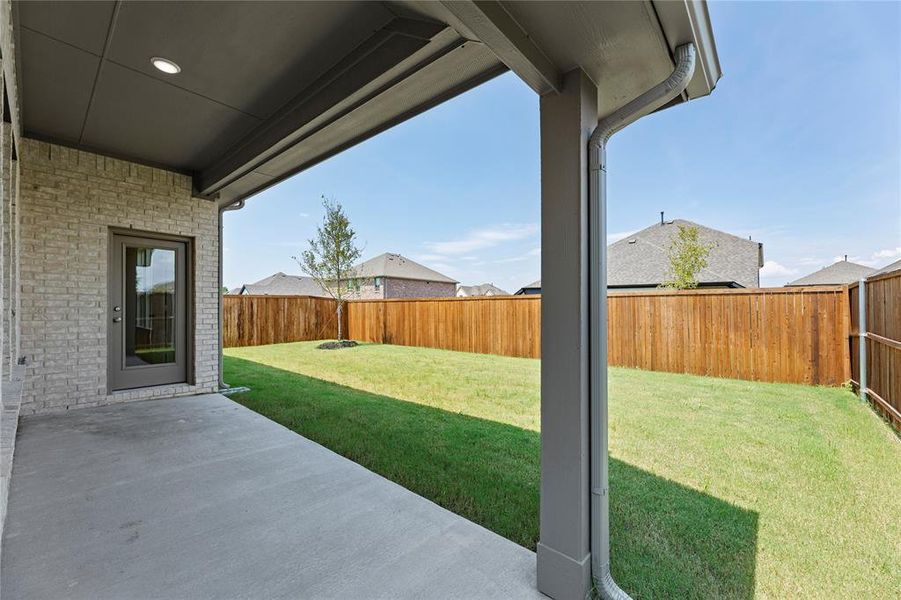 19_3507 Prickly Pear, Melissa 19_3507 Prickly Pear, Melissa