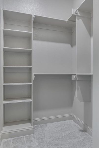 Spacious closet featuring carpet flooring