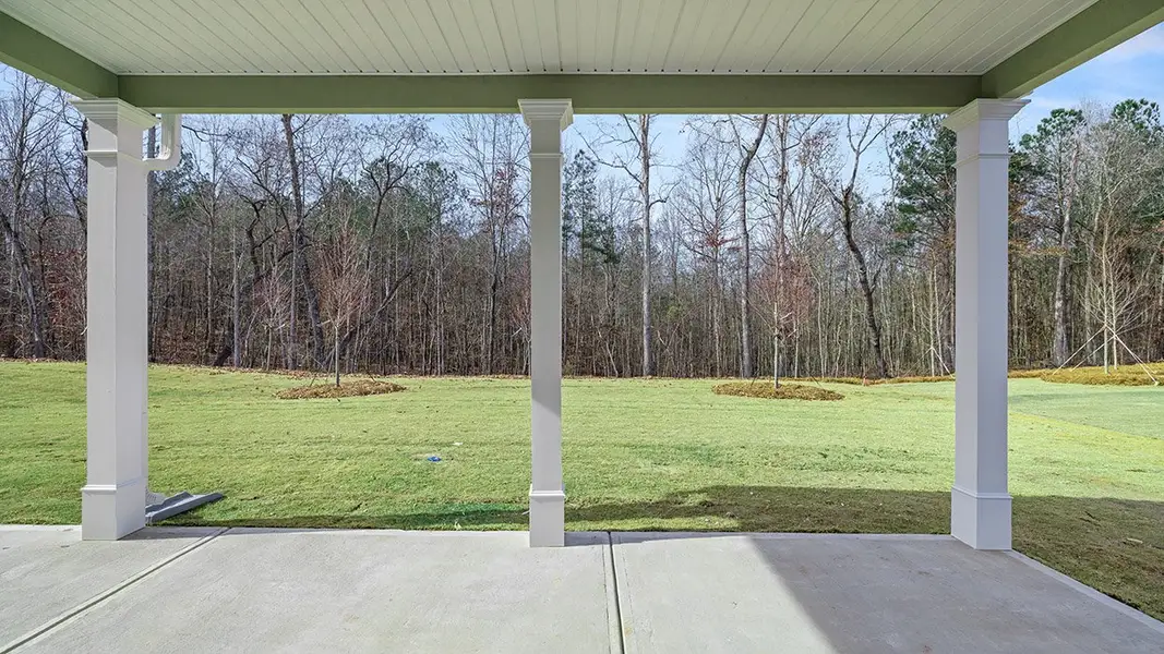 Representative exterior details of a home built from the Hampshire by D.R. Horton in Heritage Pointe, Senoia (Image 25).