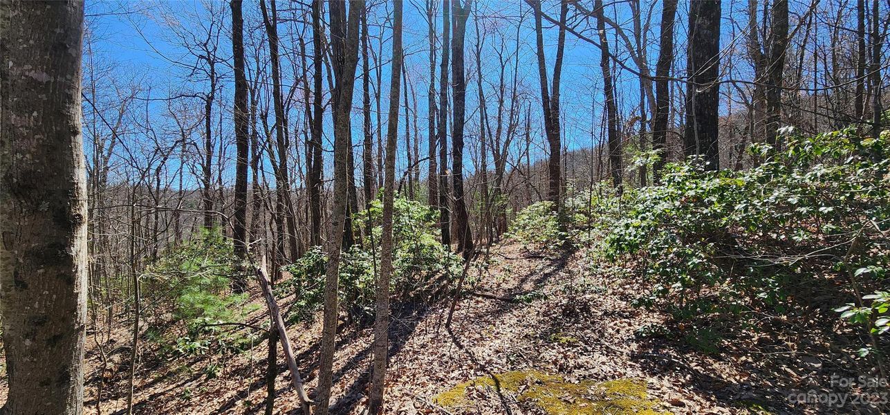 Image 15 of a home in .