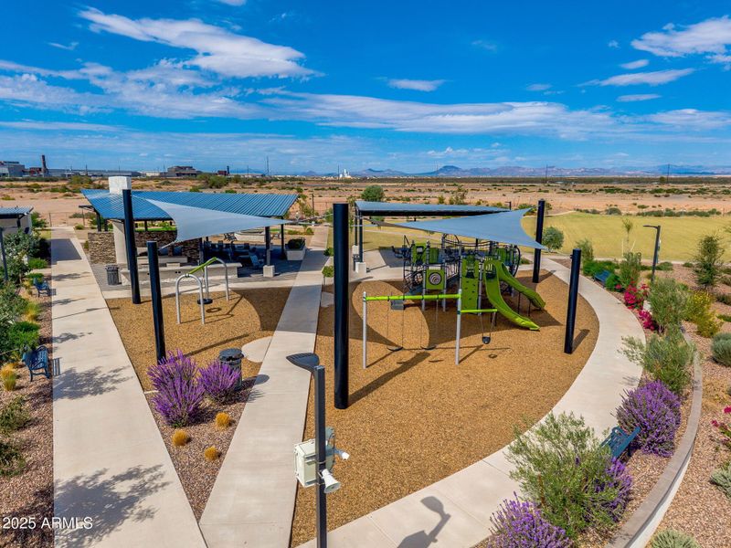 Community Area Community Area