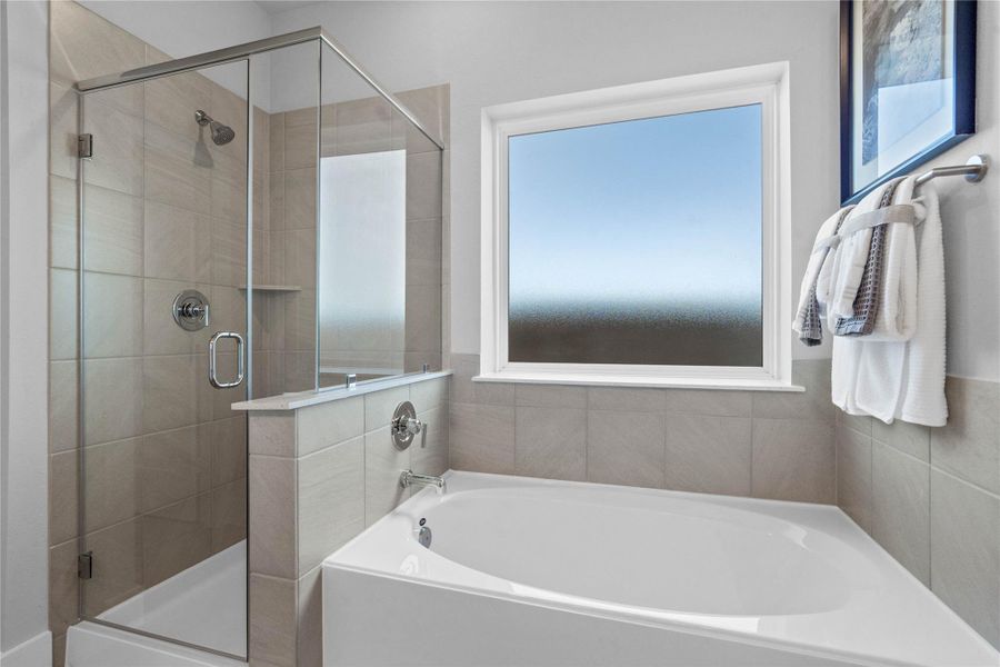 Sam Houston National Forest for hiking and camping. Sam Houston National Forest for hiking and camping.