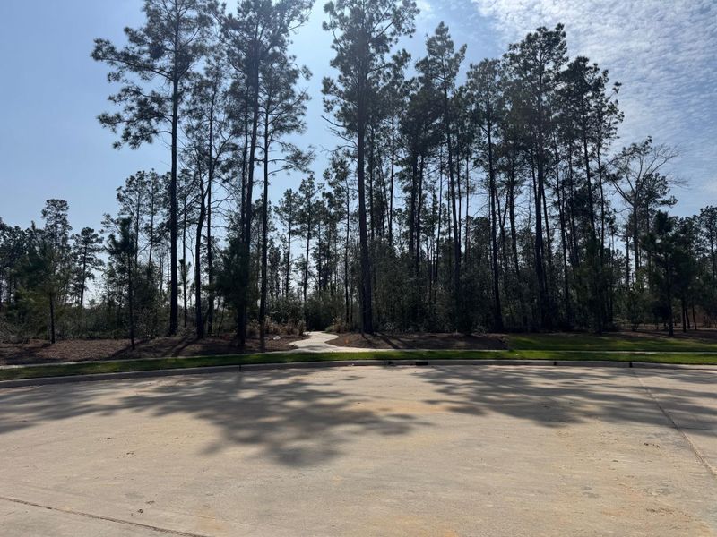 Natural landscape and outdoor views near Evergreen in Conroe (Image 35).