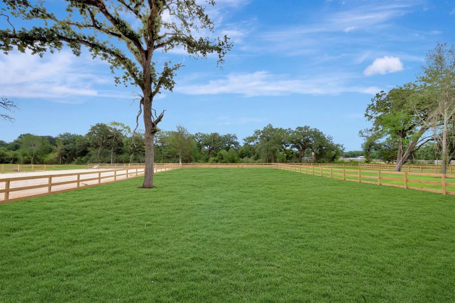 Backyard Backyard