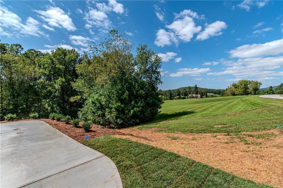 Natural landscape and outdoor views near  in Blairsville (Image 93).