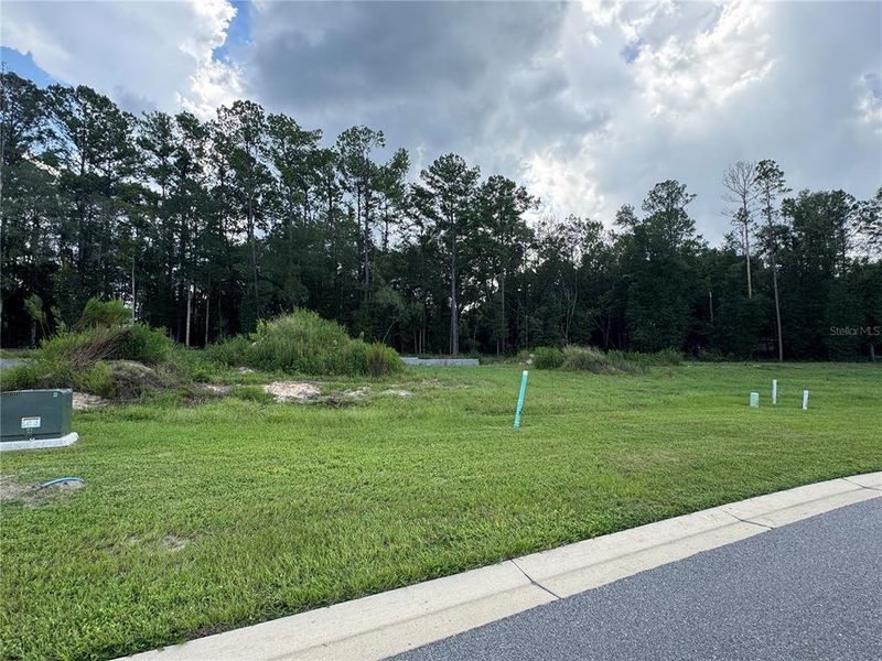Natural landscape and outdoor views near Laureate Village in Newberry (Image 42). Natural landscape and outdoor views near Laureate Village in Newberry (Image 42).