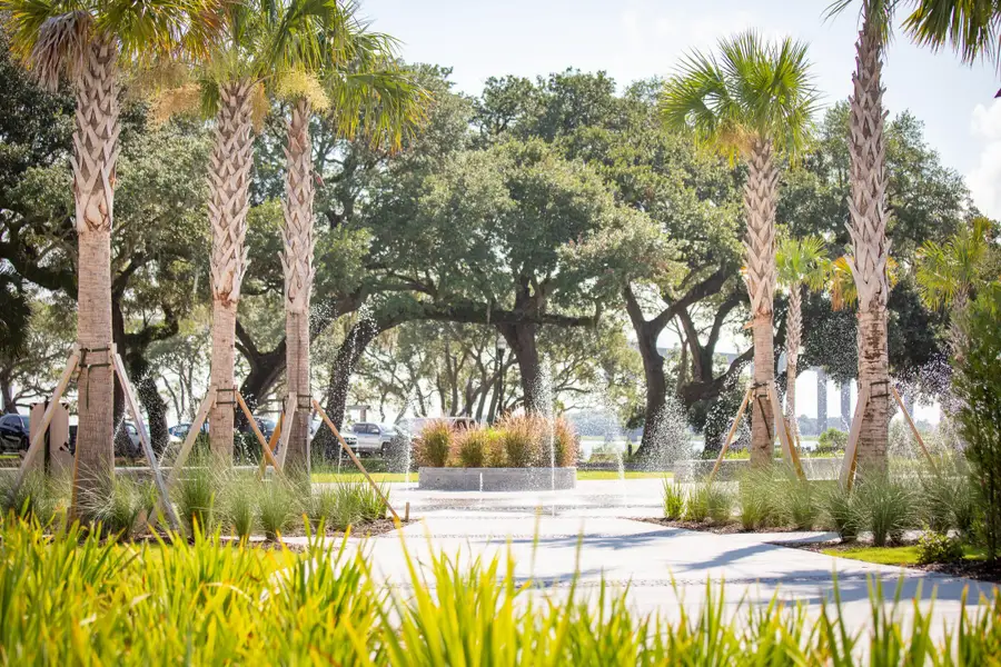 Natural landscape and outdoor views near  in Charleston (Image 29).