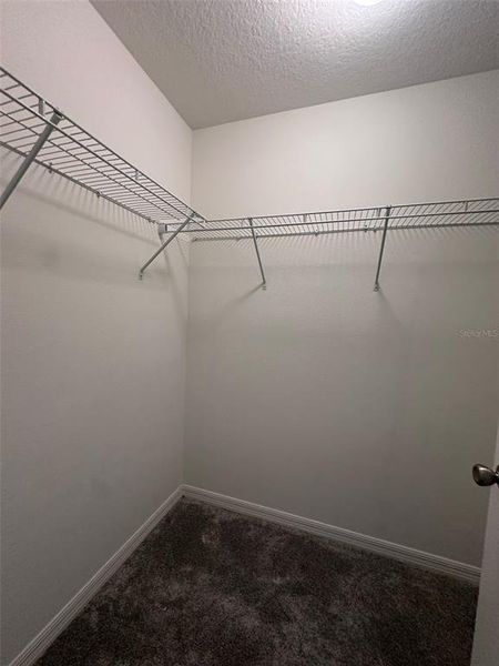 Spacious, unfurnished interior of a new home in , Davenport (Image 17).