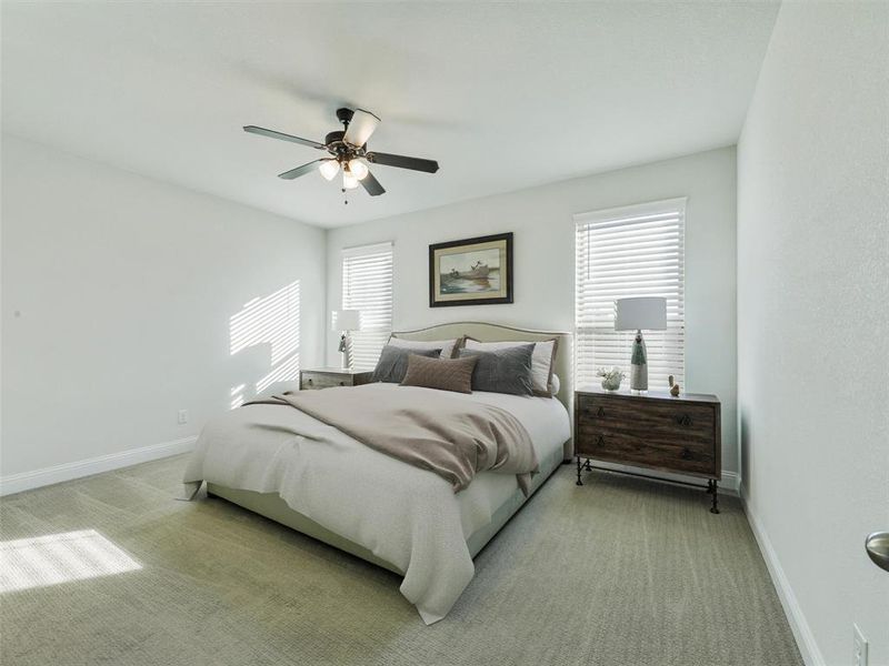 Carpeted bedroom with multiple windows and ceiling fan