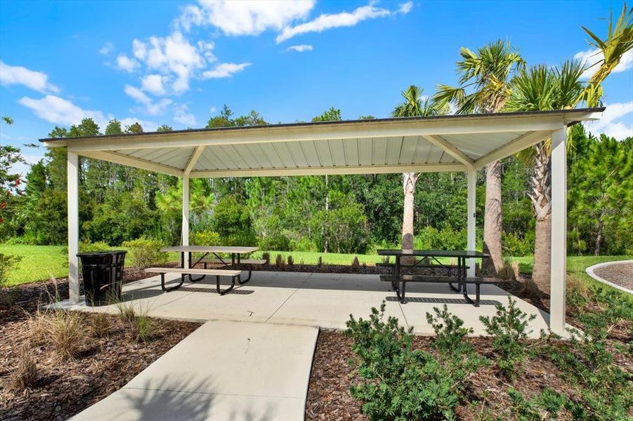 Community amenities in Woodcreek, Wesley Chapel (Image 55).