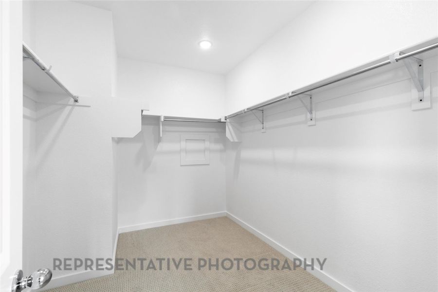 Walk in closet featuring carpet