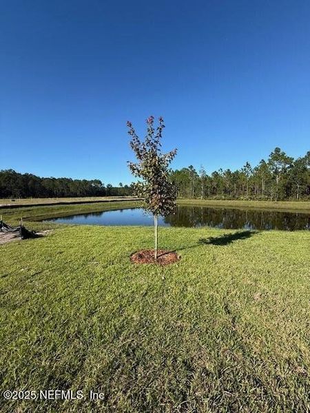 Natural landscape and outdoor views near Grand Reserve in Bunnell (Image 47).