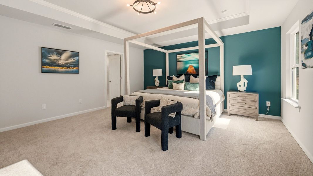 Primary suite with tray ceiling, carpet, and bright natural lighting from windows Primary suite with tray ceiling, carpet, and bright natural lighting from windows