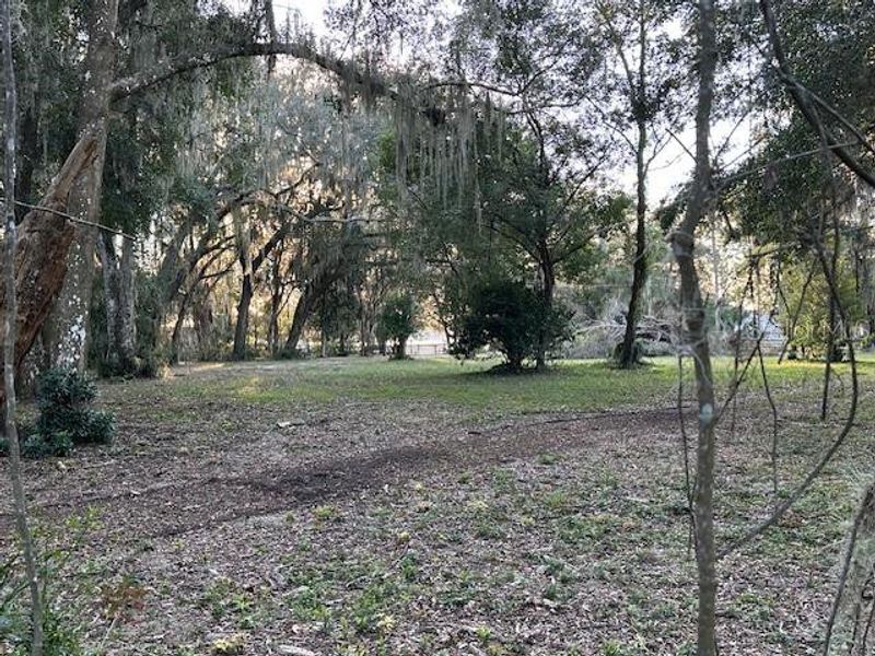 Natural landscape and outdoor views near  in Pomona Park (Image 7).
