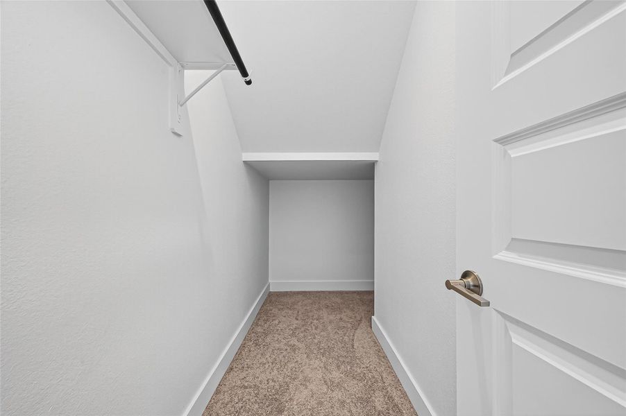 Storage closet located under the stairs.