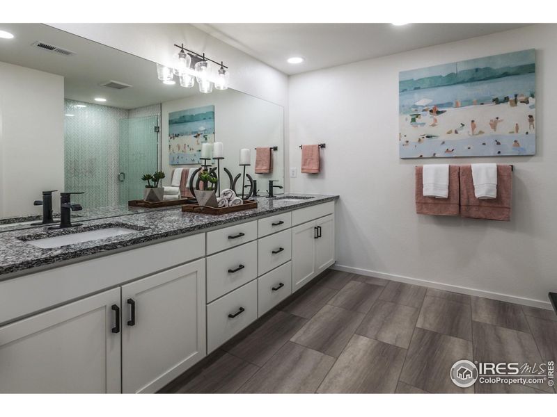 EXAMPLE PHOTO: MASTER BATH EXAMPLE PHOTO: MASTER BATH