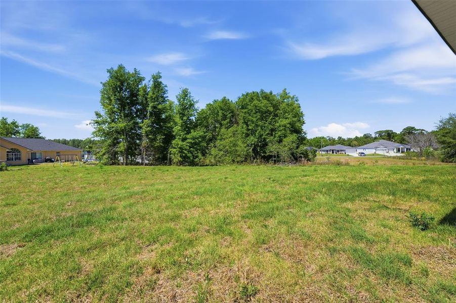 Natural landscape and outdoor views near  in Ocala (Image 35).