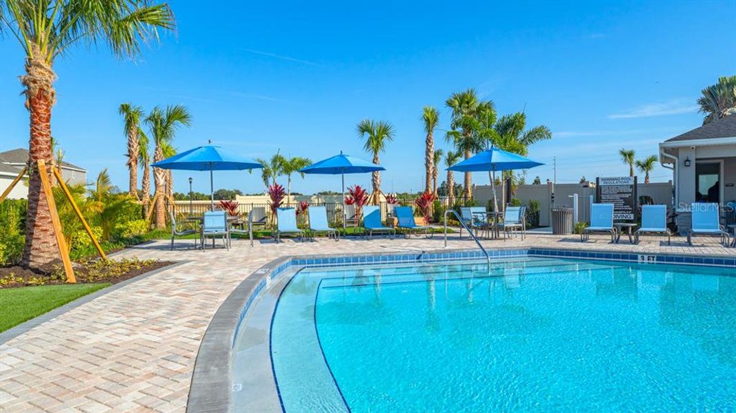 Community amenities in Indigo Creek, Apollo Beach (Image 76).