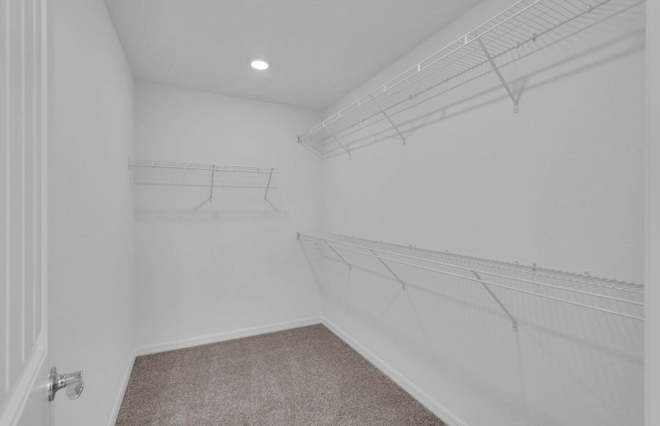 Juniper | Owner's Closet