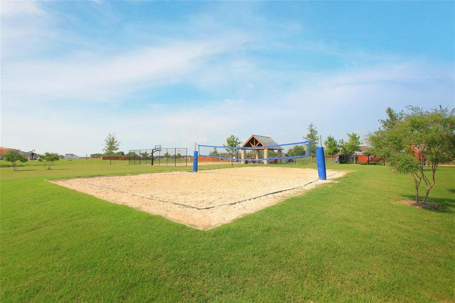 Volleyball Court