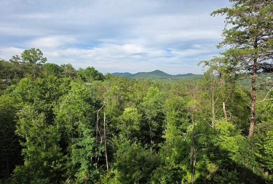 Natural landscape and outdoor views near  in Mineral Bluff (Image 34).