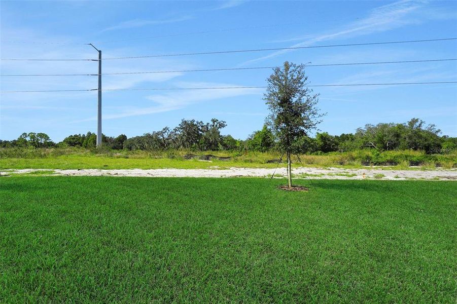 Natural landscape and outdoor views near Willowbrook North in Winter Haven (Image 33).
