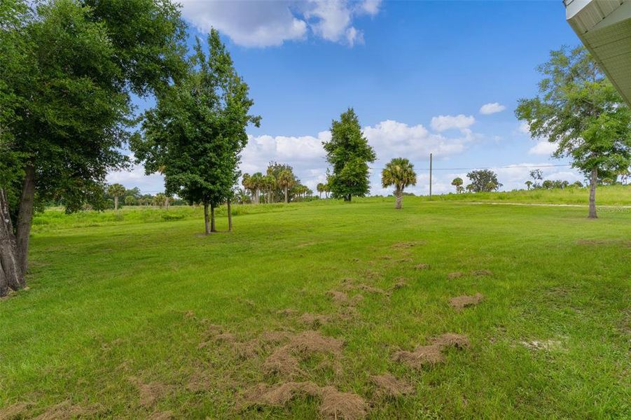 Natural landscape and outdoor views near  in Ocala (Image 39).