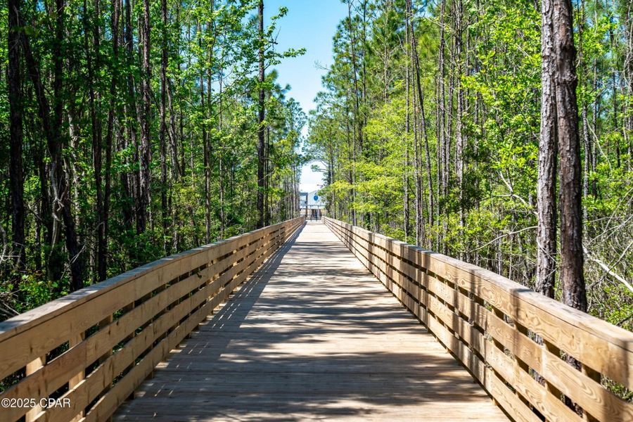 Natural landscape and outdoor views near Breakfast Point East in Panama City Beach (Image 7).