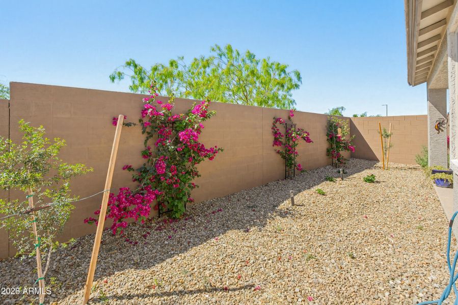 17281 W Via Lindo Ct (new)-3