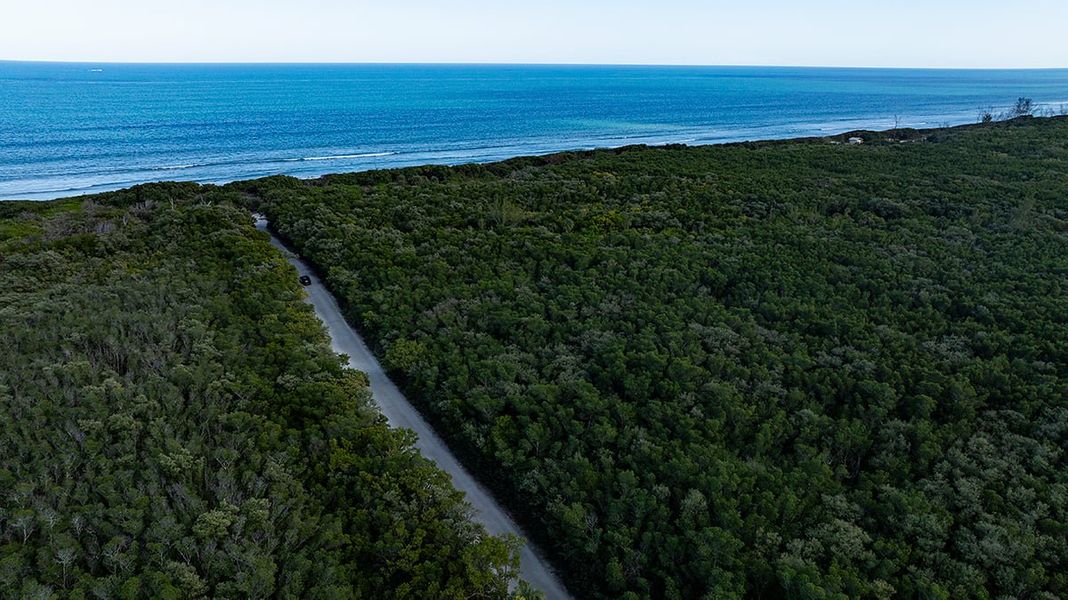 Natural landscape and outdoor views near Veranda Oaks in Port St. Lucie (Image 102).