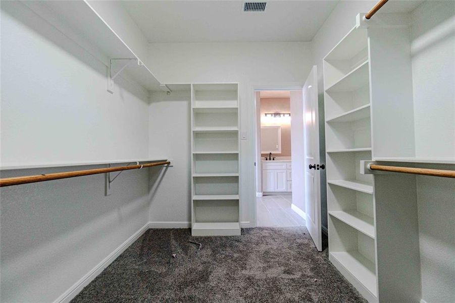 Spacious closet with sink and dark colored carpet