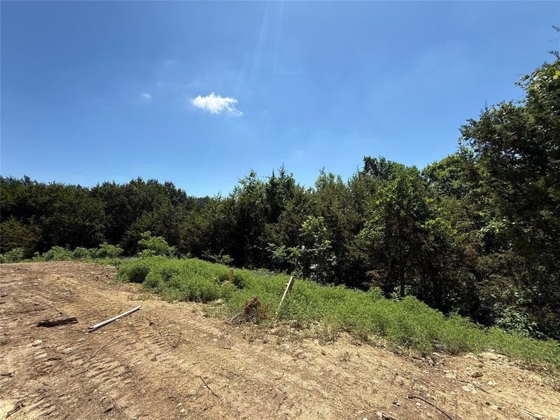 Natural landscape and outdoor views near Freeman Ranch in Weatherford (Image 13).