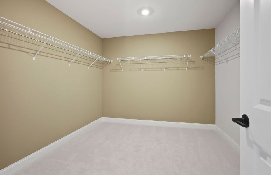 Spacious, unfurnished interior of a new home in Forest Creek, Waxhaw (Image 56). Spacious, unfurnished interior of a new home in Forest Creek, Waxhaw (Image 56).