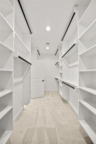 Spacious closet featuring light colored carpet