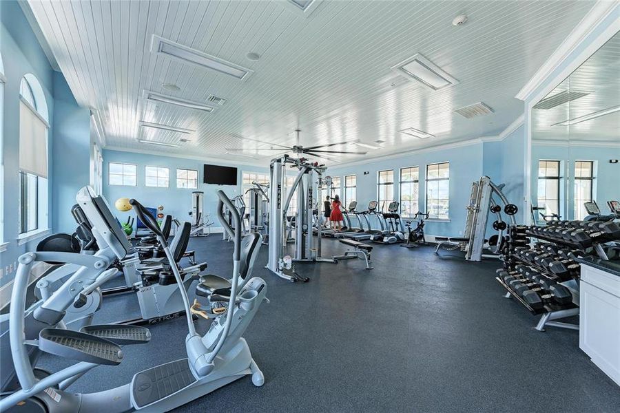 Community amenities in , Venice (Image 12). Community amenities in , Venice (Image 12).