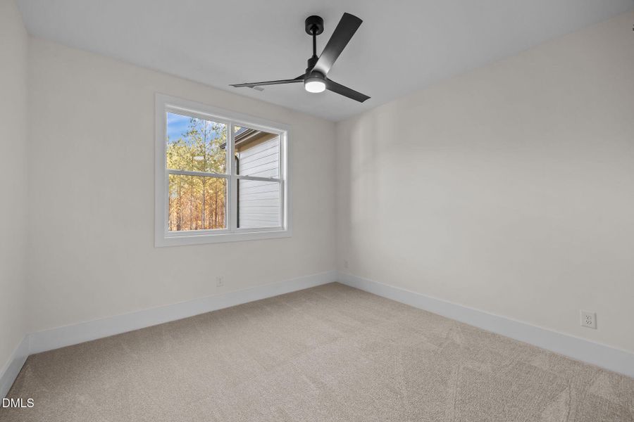 46-web-or-mls-IMG_1551 46-web-or-mls-IMG_1551