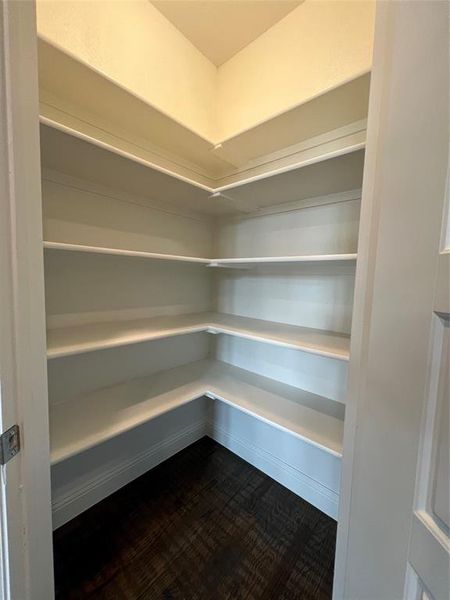 Huge corner pantry with lots of storage