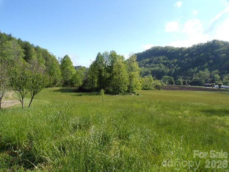 Pasture View from driveway