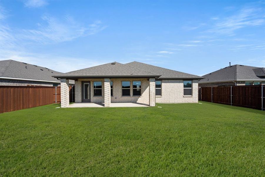 733 Scarlet Sage- Back-2 733 Scarlet Sage- Back-2