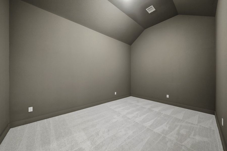 Entertainment Room