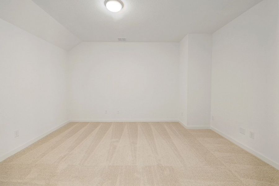 Entertainment Room