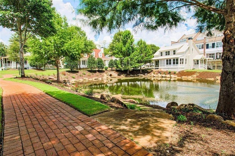 Natural landscape and outdoor views near  in Senoia (Image 9).