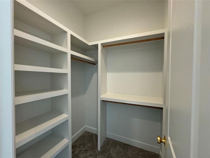 Walk in closet featuring dark carpet