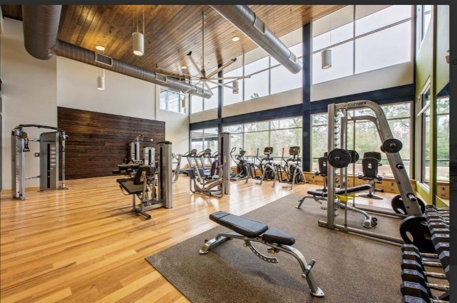 Community amenities in Woodson’s Reserve, Spring (Image 6).